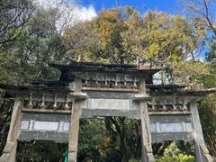 -蝴蝶泉公园