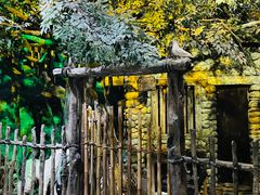 -厦门老院子景区