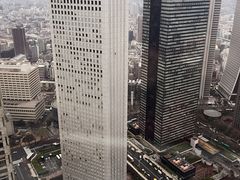 -东京都厅舍
