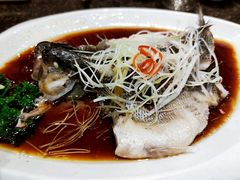 鲈鱼-钦善斋(武侯祠店)