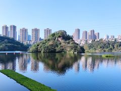 -重庆彩云湖湿地公园