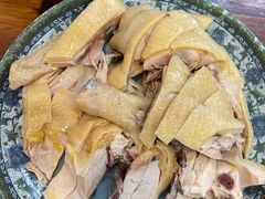 -九斤黄三黄鸡专卖店