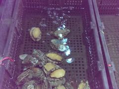 android_upload_pic-渔家海鲜舫(宝湖路店)