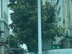 -长顺河豚馆(江洲东路)