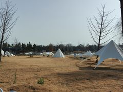-佛手湖郊野公园