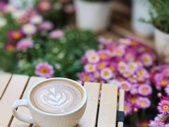 -Beans Solo豆号咖啡(百家湖花园店)