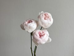 -亭亭鲜花店(中山北路店)