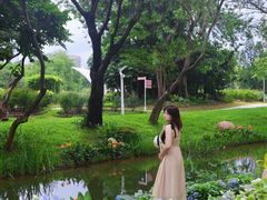 -人民公园(罗湖区)