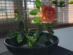 -煮雨小筑(斜塘老街店)