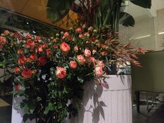 -villaa·别墅·融合菜西餐厅
