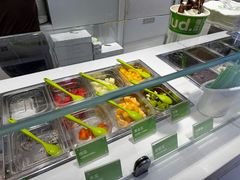 -Salud撒露欧洲冻酸奶(蓝色港湾店)