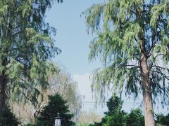 -金山农民画村-枫泾波兰倒置屋