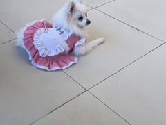 -怪兽屋·羊驼·猫咖·狗咖(俊华广场店)