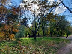 -长春市南湖公园