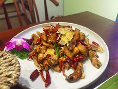 干椒牛肝菌-紫滇源云南生态菜(丹凤街店)
