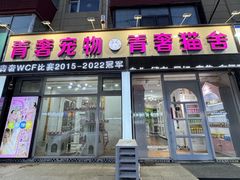 -青奢宠物·青奢猫舍