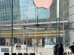 -Apple零售店(华贸购物中心店)