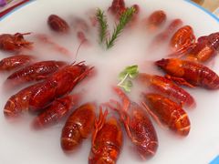 冰镇花雕小龙虾-杨氏青龙虾·羊蝎子(珠江路店)