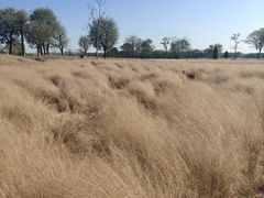 -汉长安城未央宫国家考古遗址公园