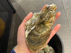 原只木桶蒸大蚝-飞尝蚝·顺德菜·鱼生(顺德总店)