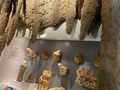 -重庆自然博物馆(新馆)