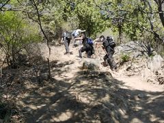 -大觉寺-停车场