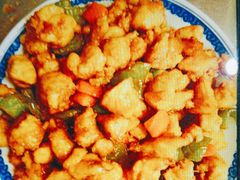 -福孕妈妈家政•月嫂育儿嫂保姆