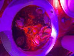 -胡桃里乐队酒馆(广州塔店)