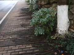 -重庆工商大学(南岸校区)
