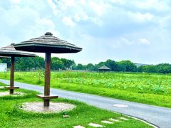 -嘉北郊野公园