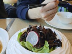 -菩提树·素食餐厅(汇智国际商业中心店)