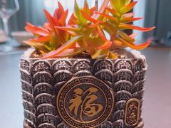 -曼格纳·曼芯馆(杨浦店)