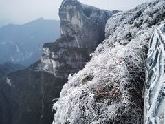 -张家界天门山国家森林公园