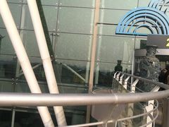 -老板恋上鱼(高新万达店)