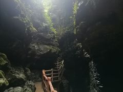 -华蓥山天意谷景区