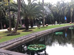 -三亚湾海居铂尔曼度假酒店