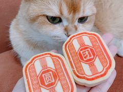 团团饼-北京稻香村(广安门店)