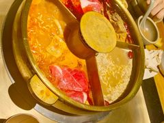 -巴奴毛肚火锅(九洲店)