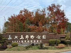 -上海长兴岛郊野公园