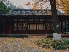 -望江楼公园