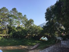 -广州市流溪河国家森林公园