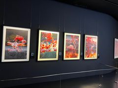 -罗红摄影艺术馆