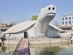 -东方巨龟苑景区