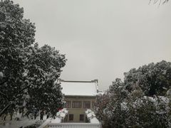 -武汉大学-樱园