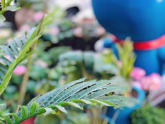 -花与咖啡馆(金星楼店)