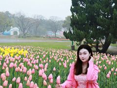 -无锡梅园公园