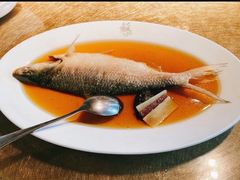 招牌中式清蒸鲥鱼-苏浙汇(古北店)