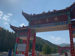 -苏木山森林公园