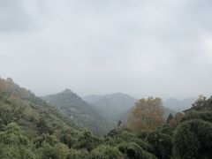 -川流不息·地道川菜·小龙虾(新松江路店)