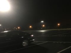 -迪士尼乐园停车场